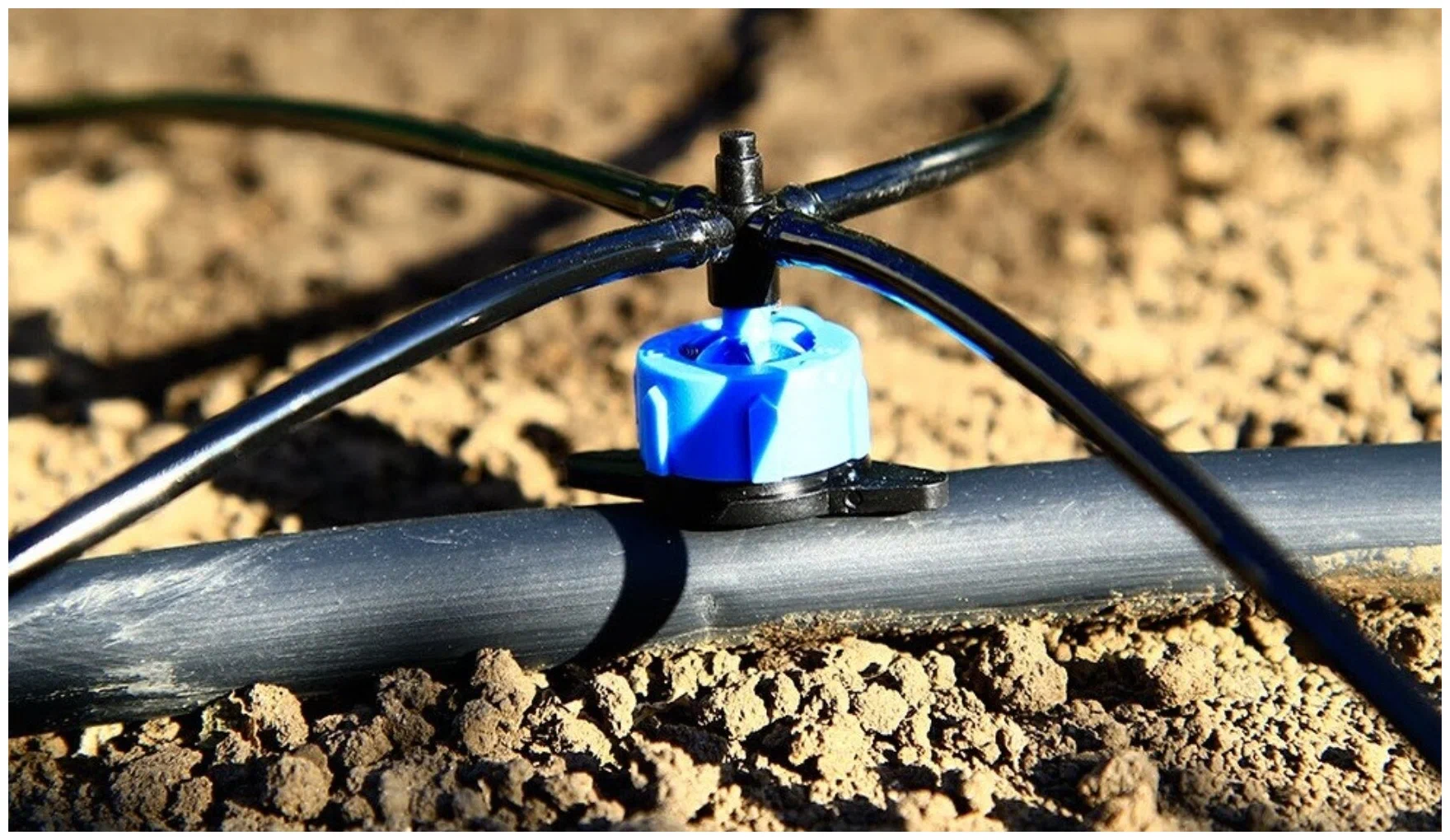 Шланг АР ПВХ черный 03х1,0х100 (Микротрубка для капельного полива)